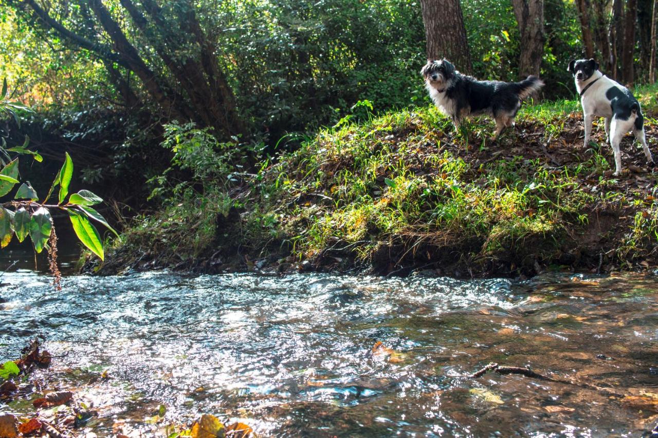 Agroturismo Araize Mungia Kültér fotó