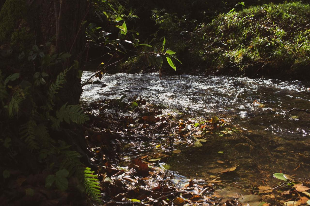 Agroturismo Araize Mungia Kültér fotó
